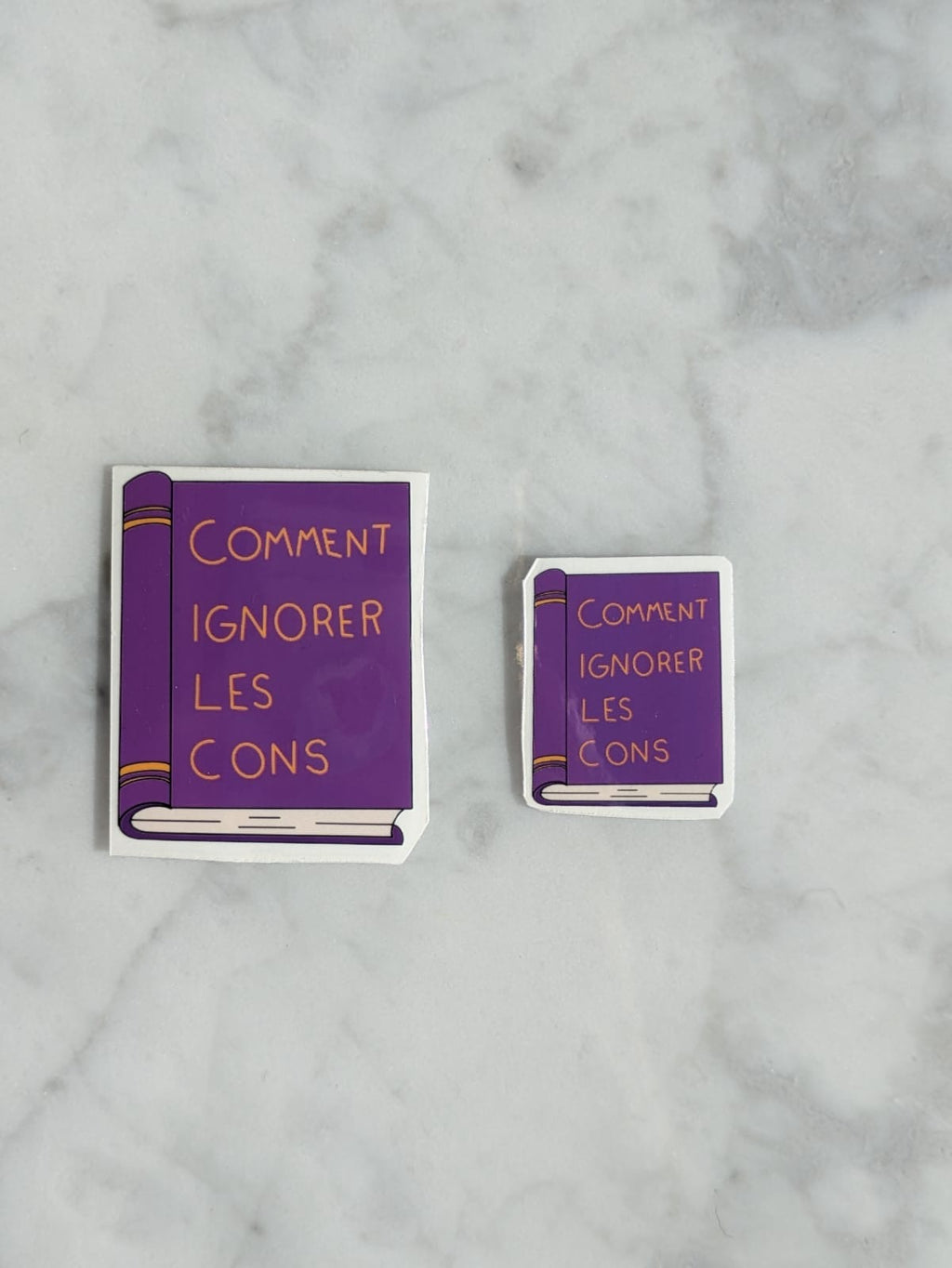 Sticker Large I Comment ignorer les cons